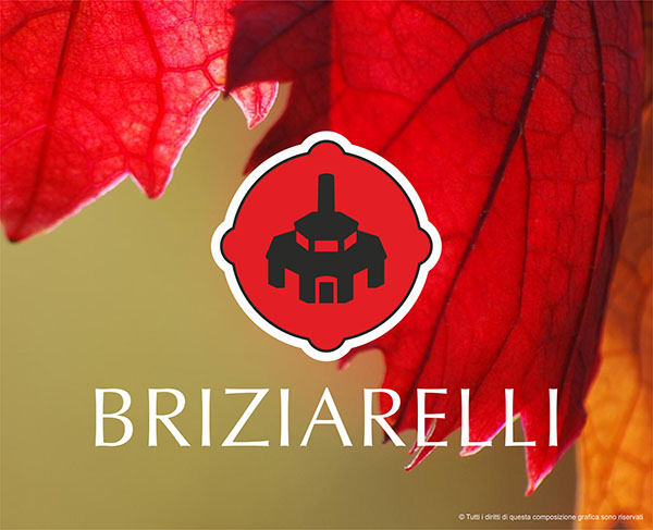 kikom studio grafico foligno perugia umbria cantina Briziarelli